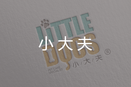 小大夫网站建设