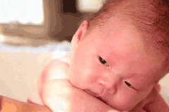 慧雅母婴网站建设