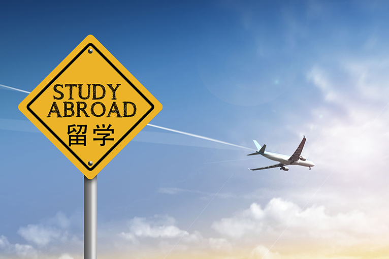 大连禧诚教育网站建设